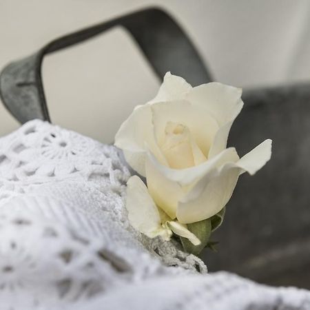 بيينْتينا Il Giardino Di Ortensia B&B المظهر الخارجي الصورة